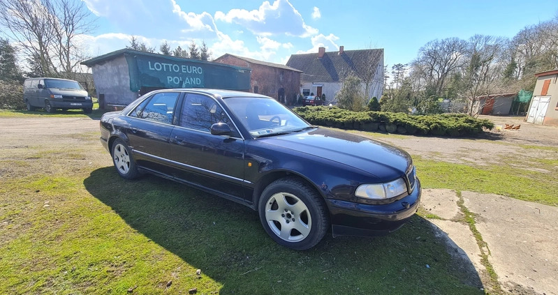 Audi A8 cena 10000 przebieg: 325000, rok produkcji 1998 z Włoszczowa małe 172